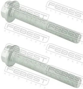 FEBEST 2098001PCS2 Болт поворотного кулака