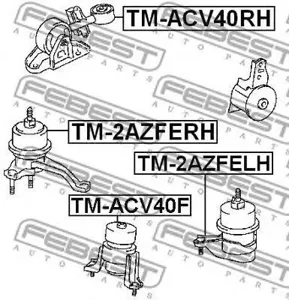 FEBEST TM2AZFERH Подушка двигателя правая Toyota Camry ACV4#AHV40GSV40 06-11