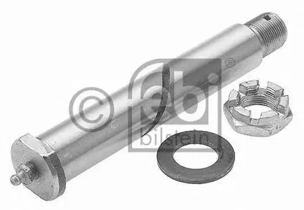 FEBI 02873 Палец ушка рессоры