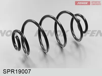 FENOX SPR19007 Пружина задняя