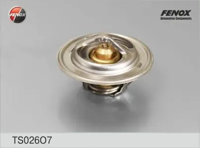 FENOX TS026O7 Термостат (+80°C) HCV
