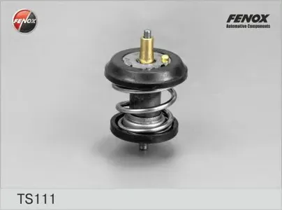 FENOX TS111 Термостат
