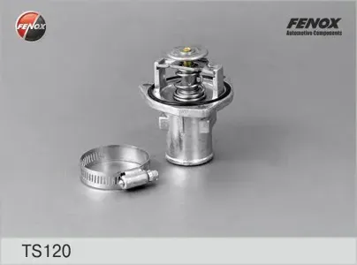 FENOX TS120 Термостат
