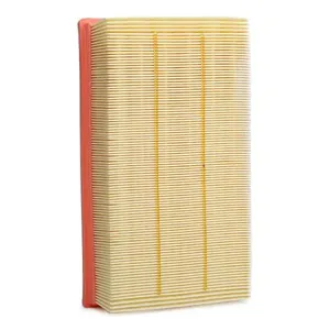 FILTRON AP1836 Воздушный фильтр 172,5х276х48,5
