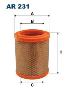 FILTRON AR231 Воздушный фильтр