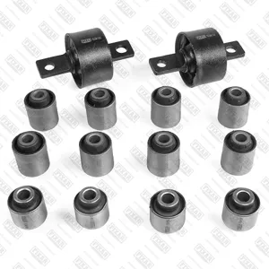 FIXAR FG1344 Сайлентблок Комплект ов задних рычагов (14 шт.)