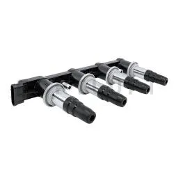 FORTLUFT IC068 Модуль зажигания GM
