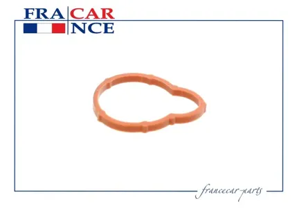 FRANCECAR FCR210229 Прокладка впускного коллектора