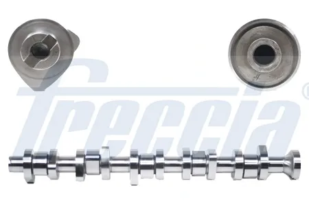 FRECCIA CM052125 Распредвал VAG