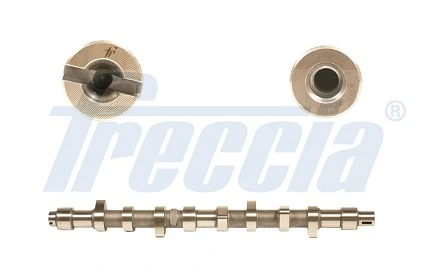 FRECCIA CM052141 Распредвал