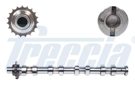 FRECCIA CM052145 Распредвал