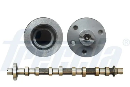 FRECCIA CM052194 Распредвал Renault