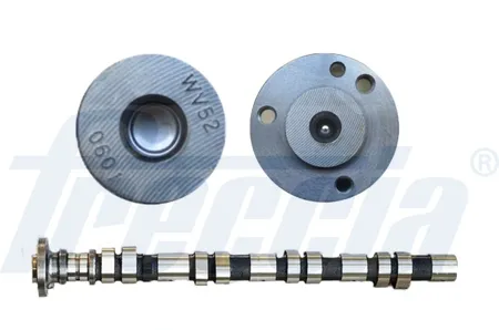 FRECCIA CM052250 Распредвал