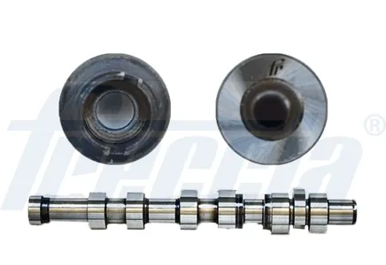 FRECCIA CM052261 Вал распределительный