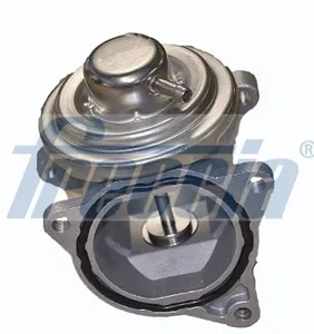 FRECCIA EGR12101 Клапан возврата ог
