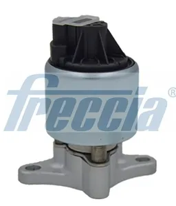 FRECCIA EGR12109 Клапан возврата ог