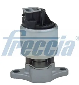 FRECCIA EGR12111 Клапан возврата ог