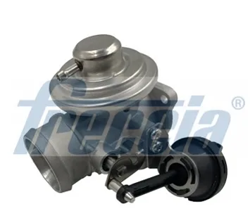 FRECCIA EGR12120 Клапан возврата ог