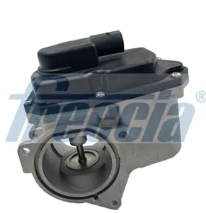 FRECCIA EGR12123 Клапан возврата ог