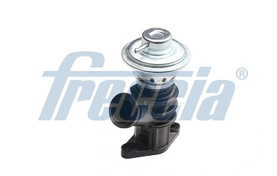 FRECCIA EGR12159 Клапан возврата ог