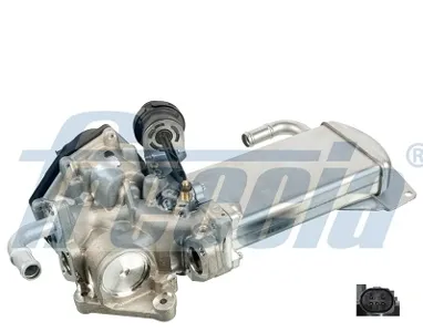 FRECCIA EGR12179 Клапан возврата ОГ