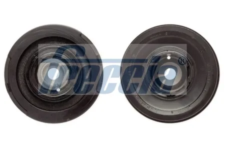 FRECCIA PUL11116 Шкив коленвала