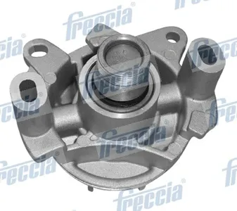 FRECCIA WP0259 Водяной насос Renault Espace Laguna 2.2DCi 00>