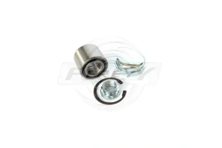 FREY 765619101 Комплект подшипника ступицы колеса