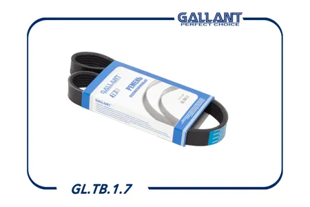 GALLANT GLTB17 Ремень генератора 6PK700 Citroen Jumper ZX 