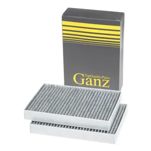 GANZ GIR03252 Фильтр салона угольный (2ШТ) BMW 5 (G30, F90, 16-), X5 (G05, F95, 18-), X6 (G06, F96, 19-)