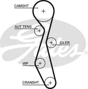 GATES 5633XS Ремень ГРМ 118x254H Citroen C5C6C8, Peugeot 407 2.2HDi 06>