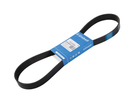 GLOBELT 8PK1575 Ремень поликлиновый