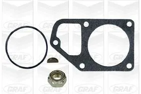 GRAF PA297 Водяной насос Ford Sierra Diesel