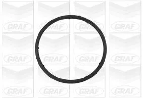 GRAF PA765 Водяной насос (помпа)