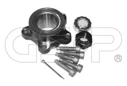 GSP 9245009K Комплект подшипника ступицы колеса