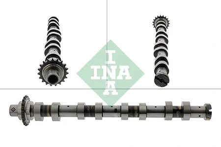 INA 428012010 Распредвал