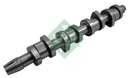 INA 428015910 Распредвал