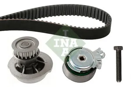 INA 530000432 Ремкомплект ГРМ Chevrolet Aveo седан (T250, T255) 1.5 2005