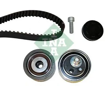 INA 530036410 Ремкомплект ГРМ Audi A4A6A8Allroad, VW Passat , Skoda Superb 2.5TDi 00>