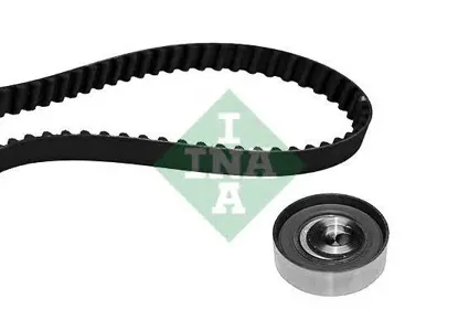 INA 530056410 Комплект роликов