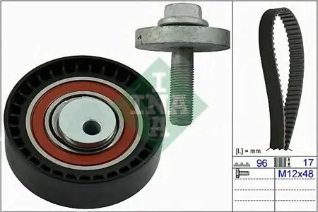 INA 530060410 Комплект ремня ГРМ