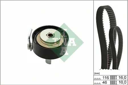 INA 530070010 Ремкомплект ГРМ