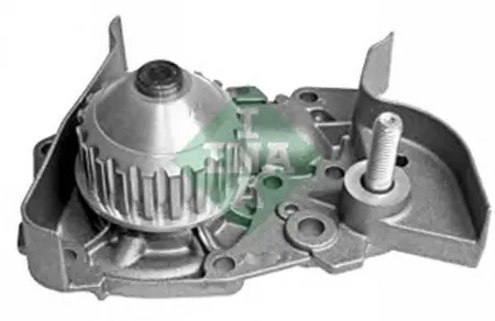 INA 538002210 Водяной насос Renault Kangoo Omega NE Clio 96-