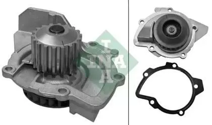 INA 538010210 Водяной насос Ford Peugeot Citroen Fiat 2.0D 07-