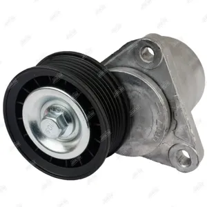 JIKIU TN25005 Натяжитель ремня Ford EscapeR1EP3WF(2003-2006) Ford Fiesta VCBK(2004-2012) Ford Maverick TM1TM