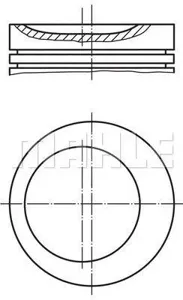 KNECHT/MAHLE 0020301 Поршень