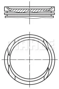 KNECHT/MAHLE 0029600 Поршень
