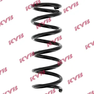 KYB RG5007 Пружина задняя
