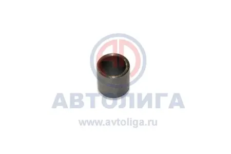 LADA 21010100301700 Втулка корпуса распредвала установочная