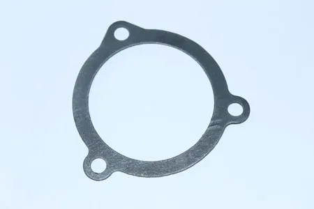 LADA 21100130704200 прокладка корпуса водяного насоса Lada